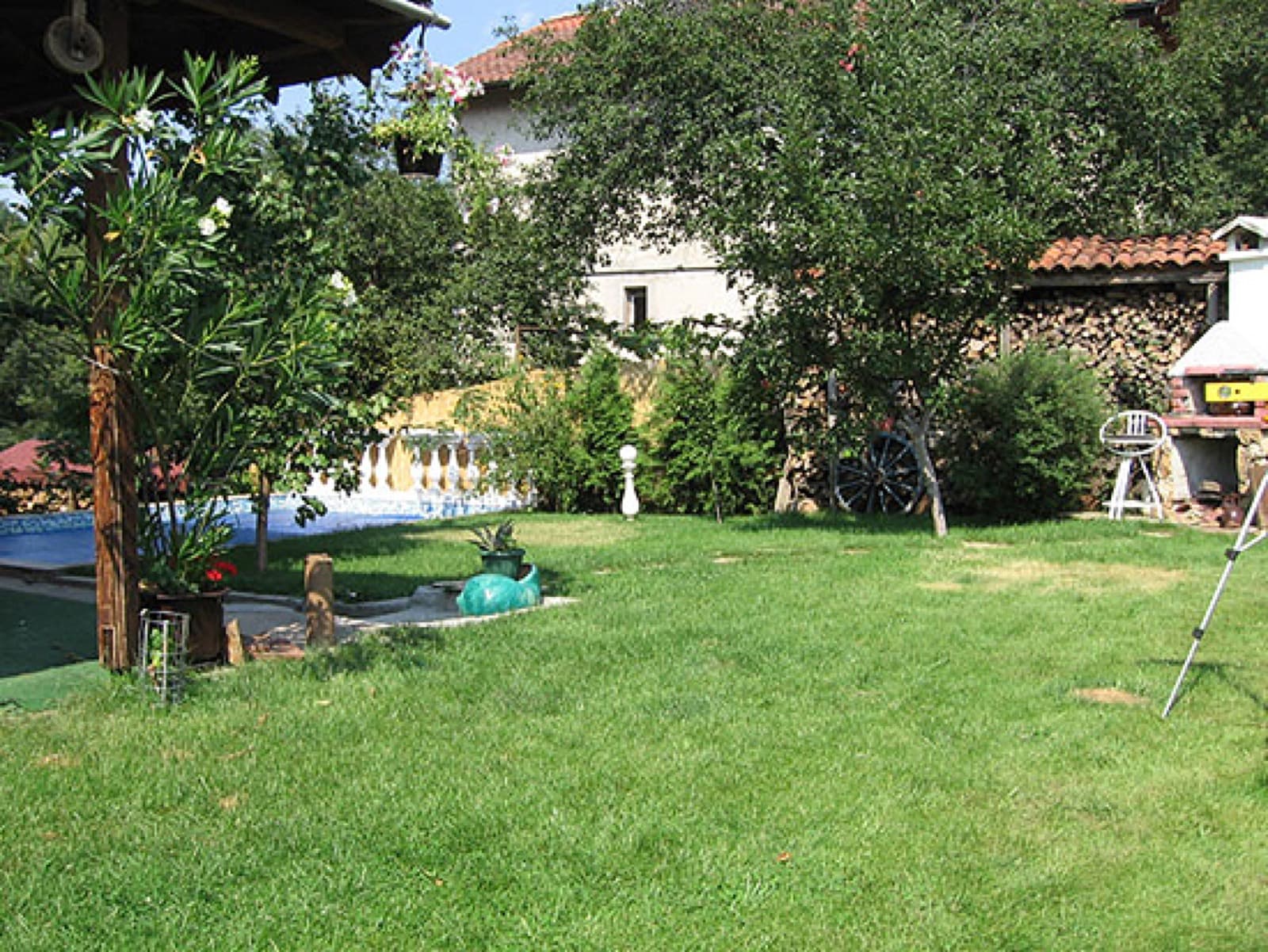 A dog walking freely in the green garden of Happy Pets hotel in Sofia
